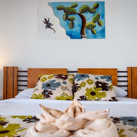Hotel Miconia بويرتو بكويريزو مورينو المظهر الخارجي الصورة
