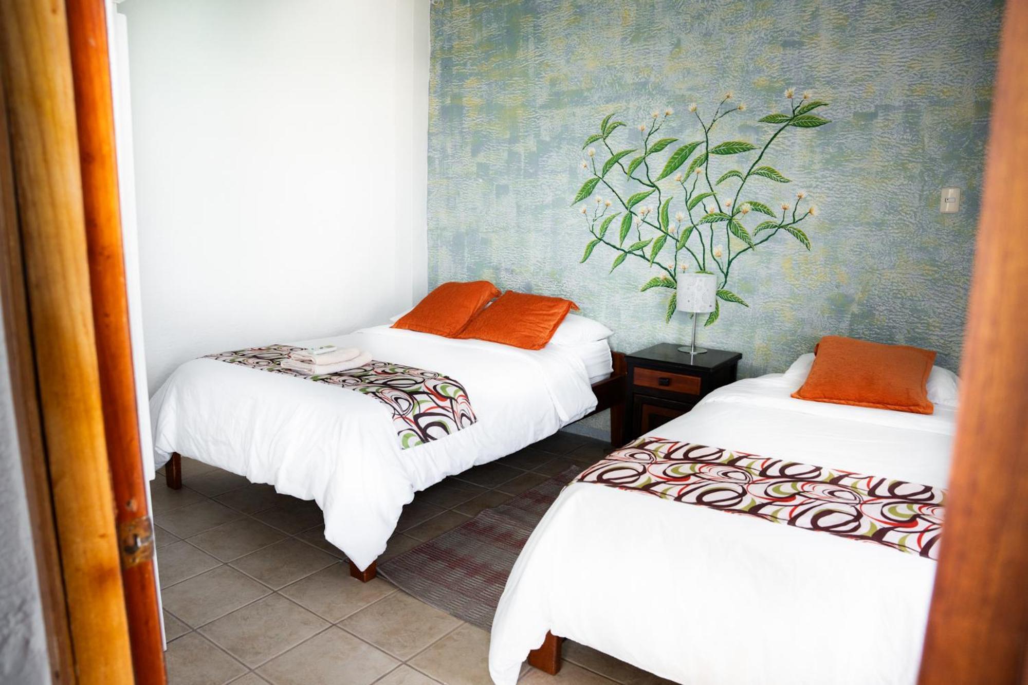 Hotel Miconia بويرتو بكويريزو مورينو المظهر الخارجي الصورة