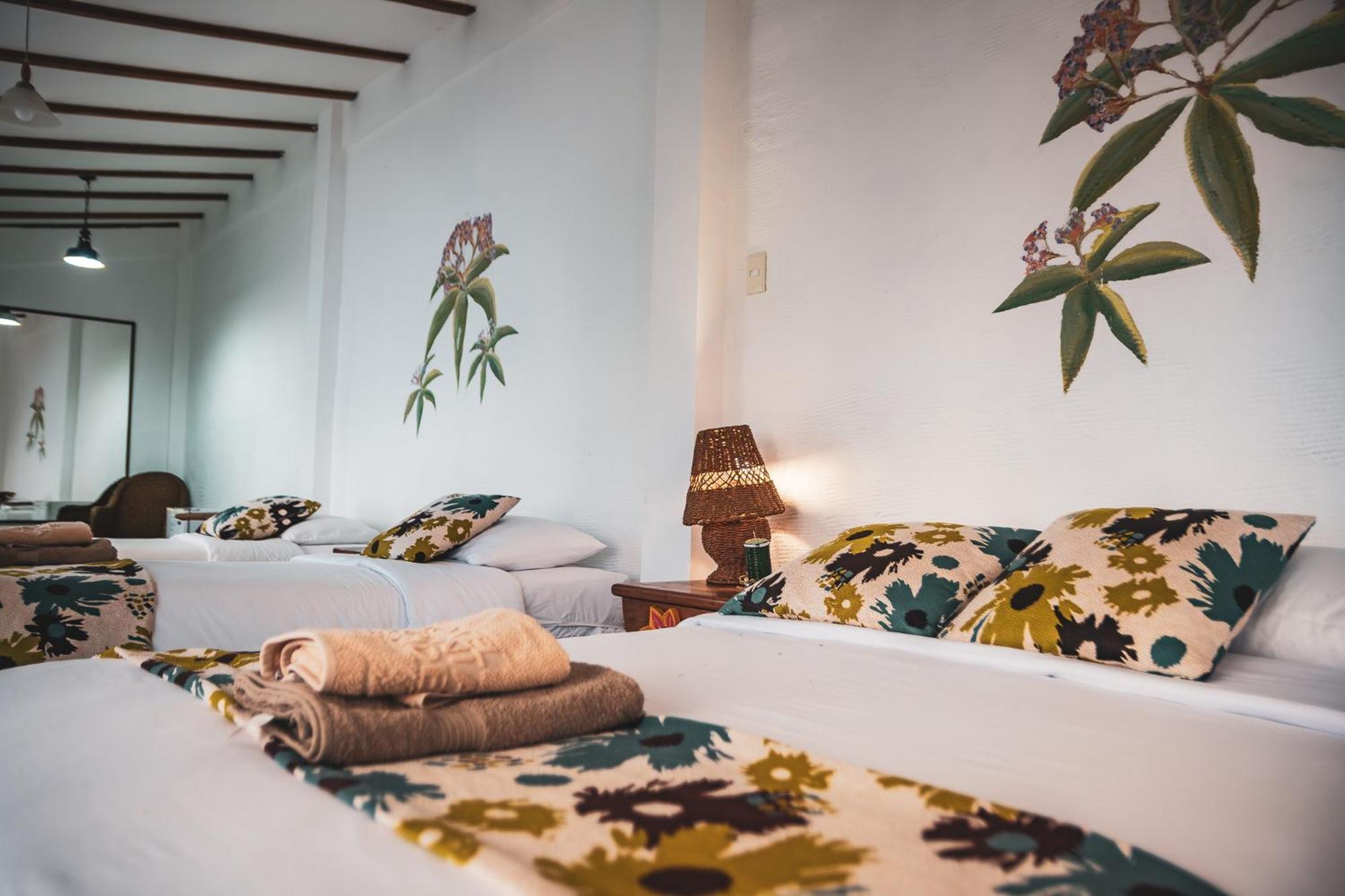 Hotel Miconia بويرتو بكويريزو مورينو المظهر الخارجي الصورة