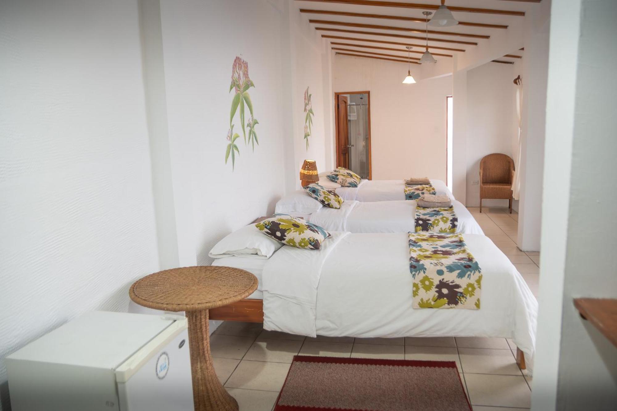 Hotel Miconia بويرتو بكويريزو مورينو المظهر الخارجي الصورة