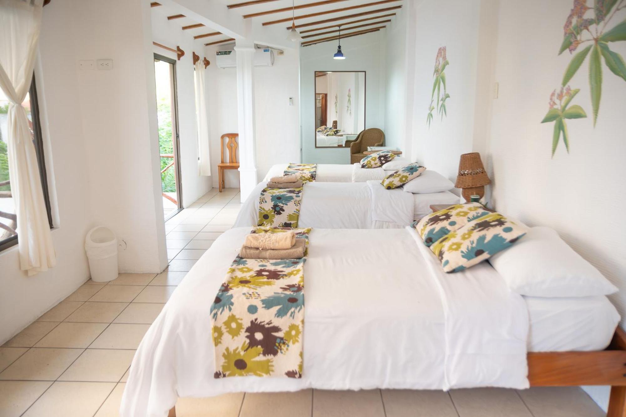 Hotel Miconia بويرتو بكويريزو مورينو المظهر الخارجي الصورة