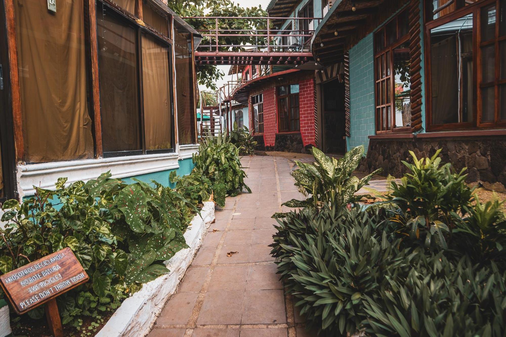 Hotel Miconia بويرتو بكويريزو مورينو المظهر الخارجي الصورة